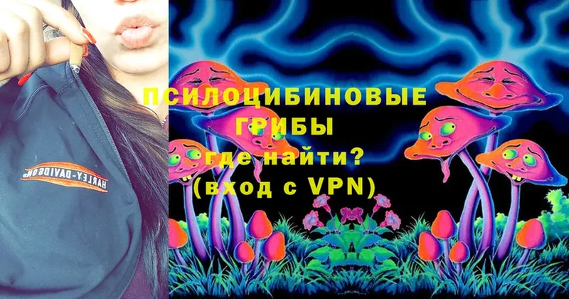 Галлюциногенные грибы MAGIC MUSHROOMS  Белогорск 